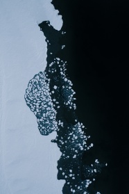 冬季海域浮冰图片