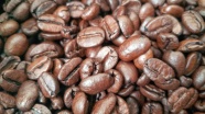 饱满棕色咖啡豆图片