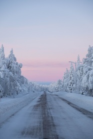 冬季唯美雪景雪松风景图片