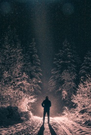 冬季夜晚雪地松树林人物背影图片