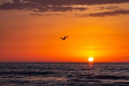 黄昏海平面日落风景图片