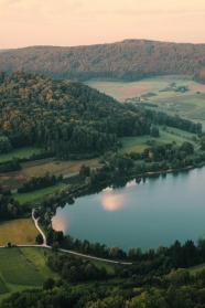 绿色防护林湖泊图片