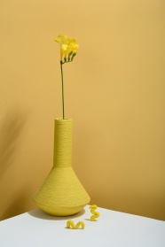 橙黄色花瓶插花图片