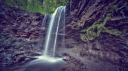 森林泉水瀑布图片