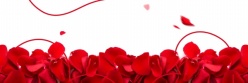 情人节线条玫瑰花瓣背景图