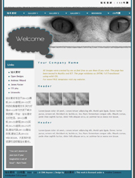 艺术猫眼css+div网页模板