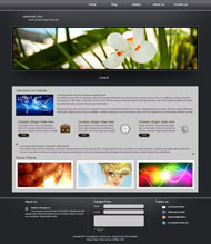 自然生态CSS网页模板