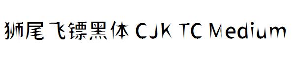 狮尾飞镖黑体 CJK TC Medium字体