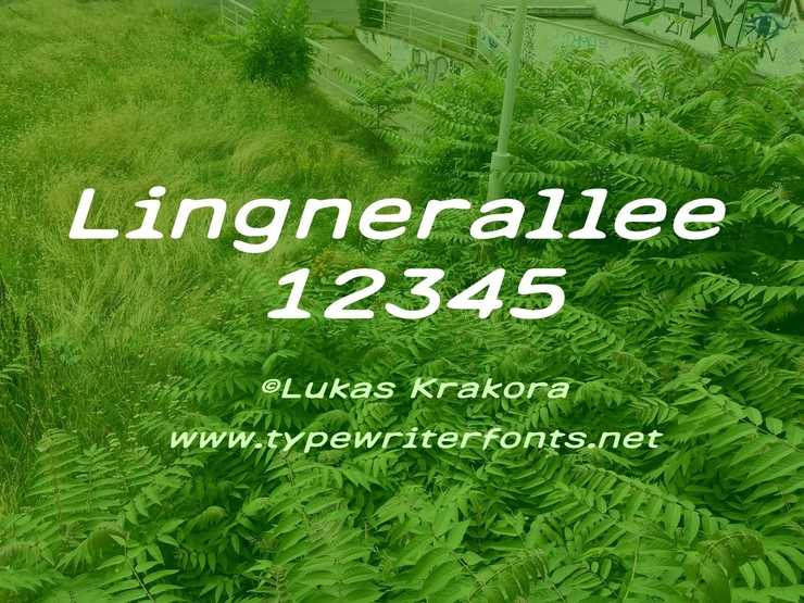 Lingnerallee 12345 1