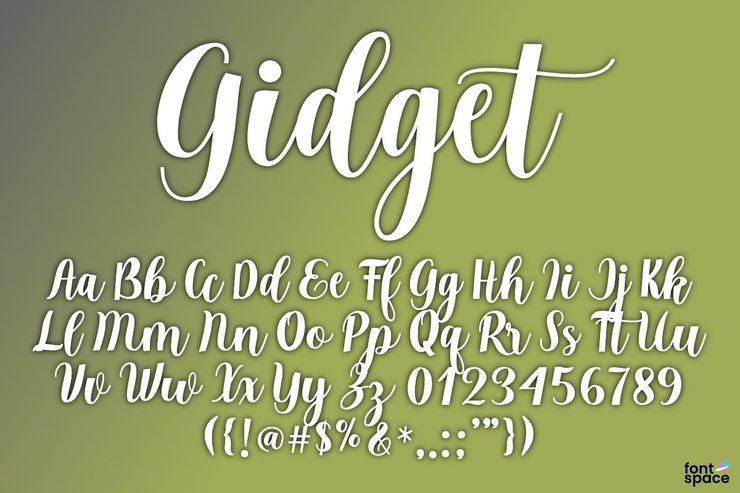 Gidget Script 4