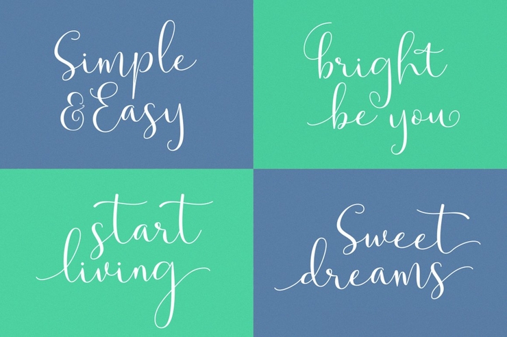 Solidar Script Family 6