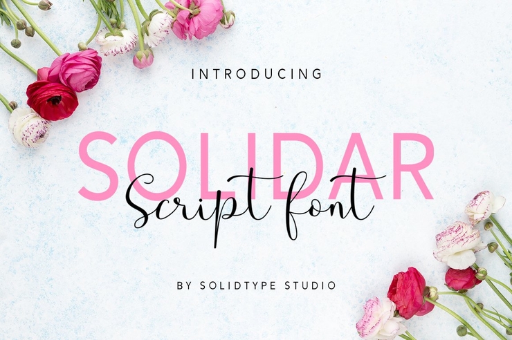 Solidar Script Family 2