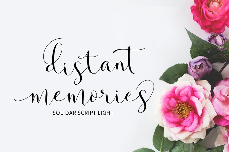 Solidar Script Family 8