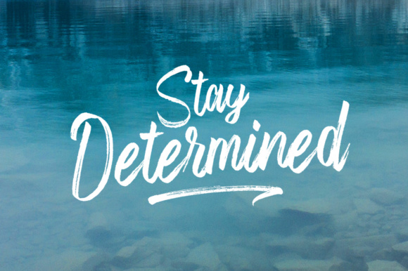 Fronds Getturing Brush 8