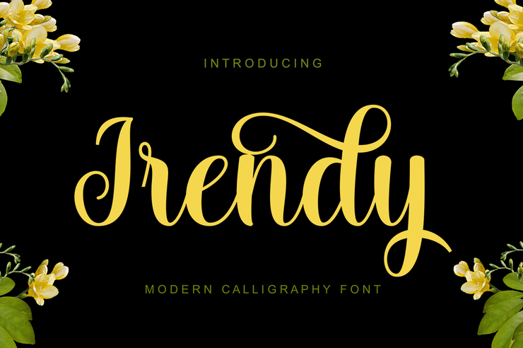 Irendy Script 1