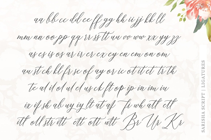 Sarisha Script 10