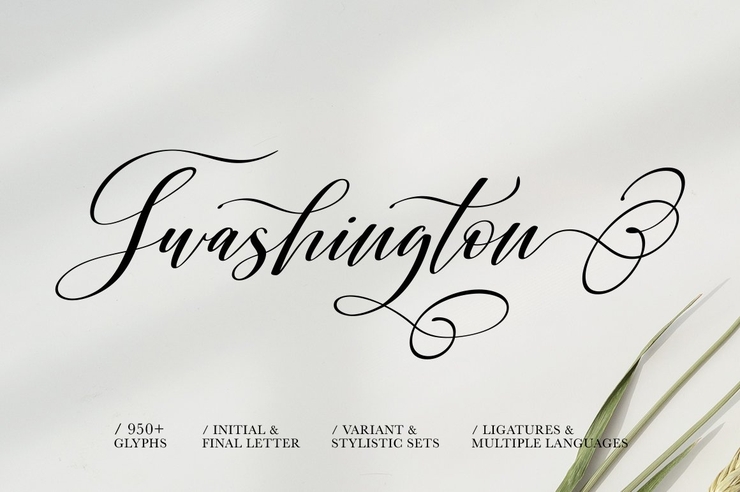 Shington Script 9