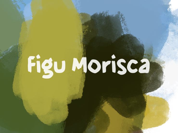 f Figu Morisca 1