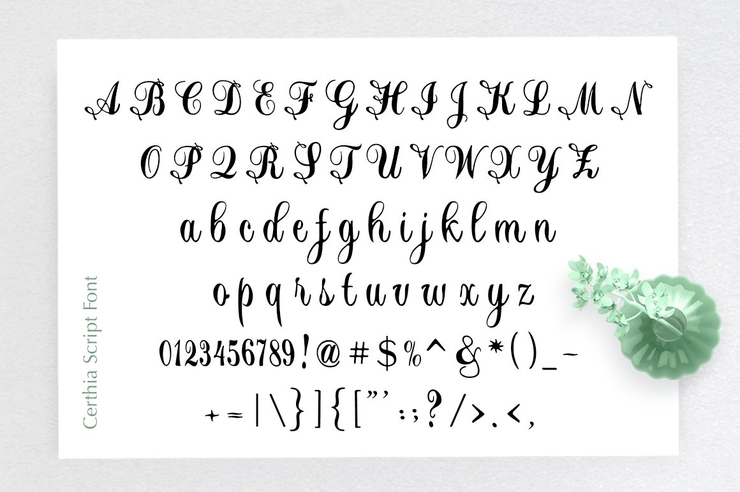 Certhian Script 8