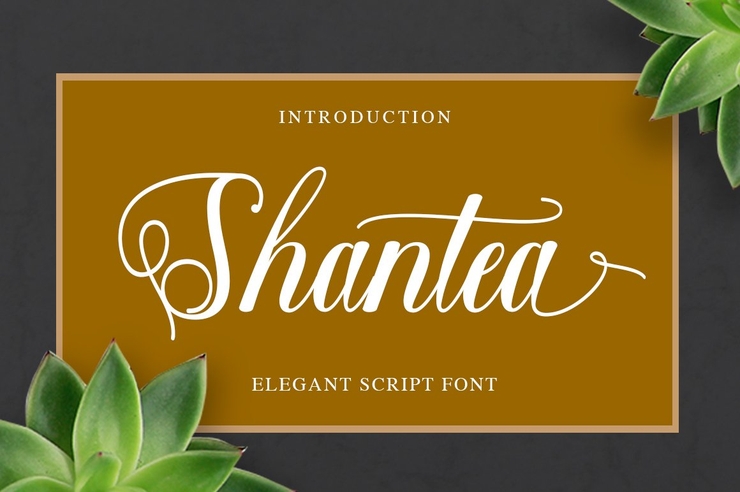 Shantea Script 1