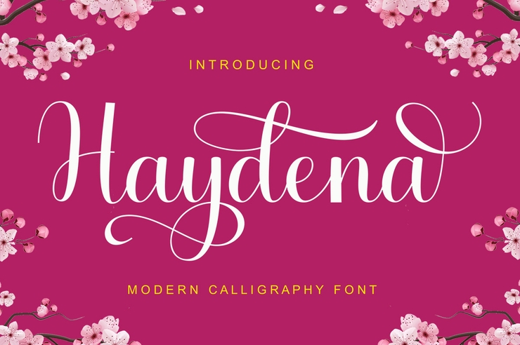 Haydena Script 1