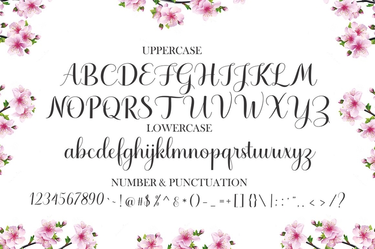 Haydena Script 5