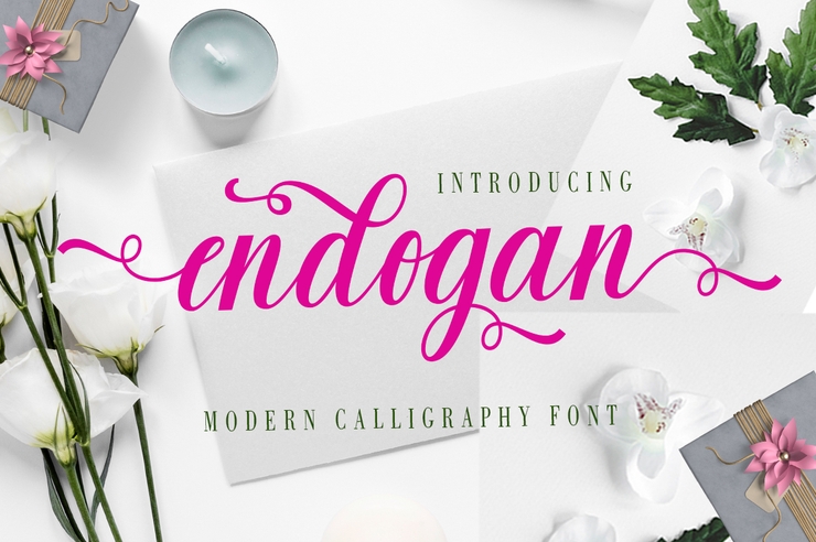 Endogan Script 1