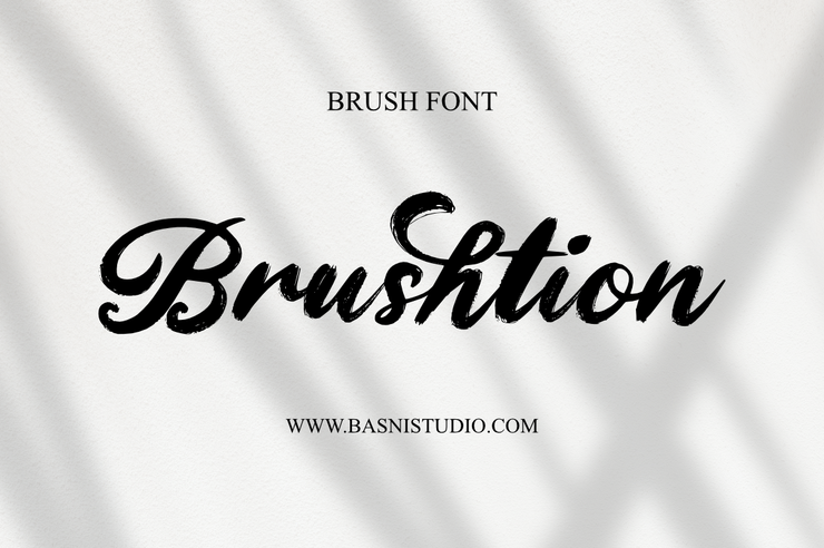 Brushtion 4