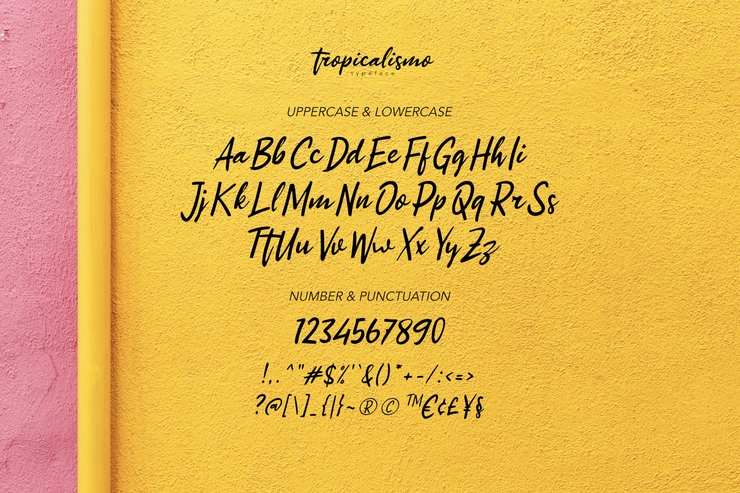 Tropicalismo Typeface 2