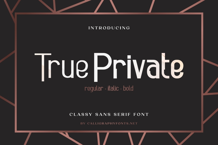 True Private 1