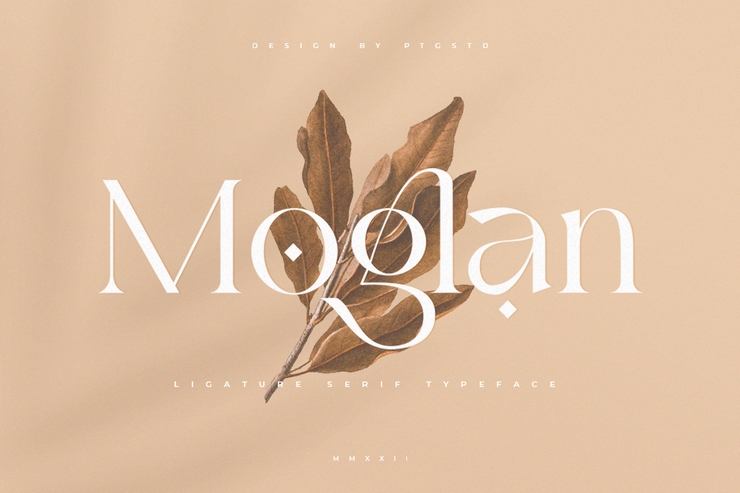 Moglan 1