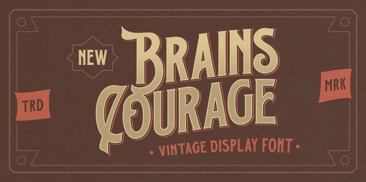 Brains Courage 2