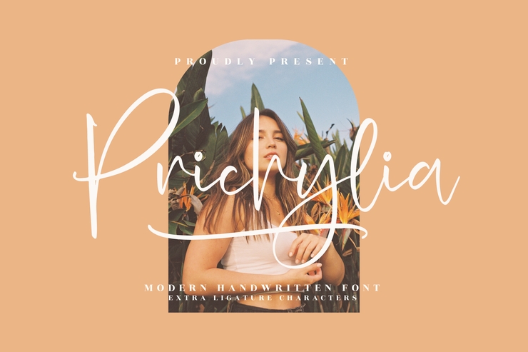 Prichylia 1