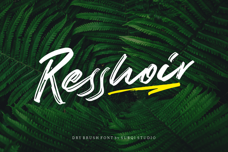 resshoir 1