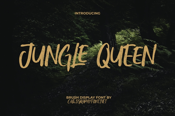 jungle queen字体 1