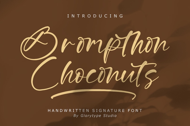 brompthon choconuts 1