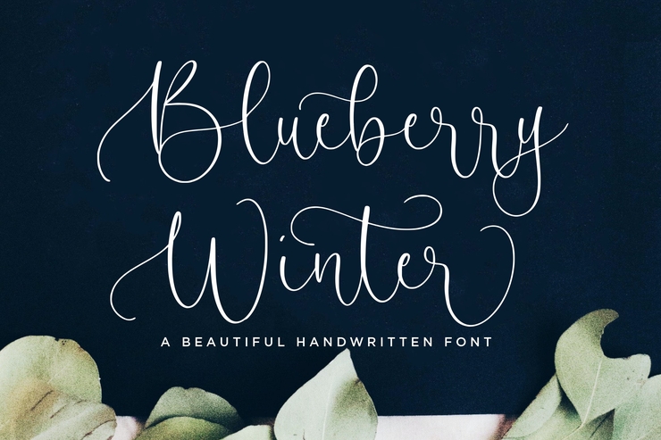 blueberry winter 1