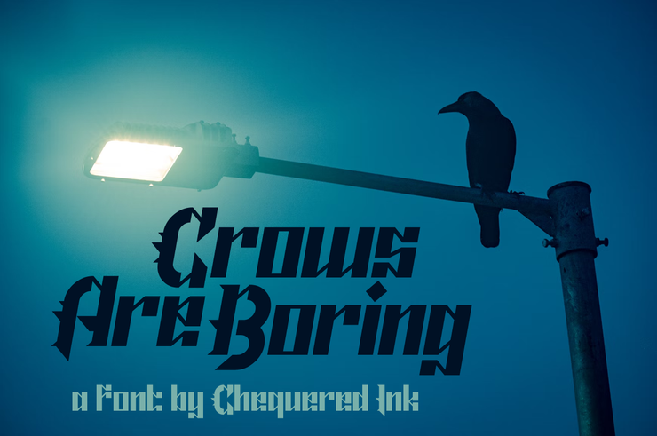 crows are boring 1