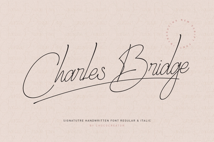 charles bridge 1