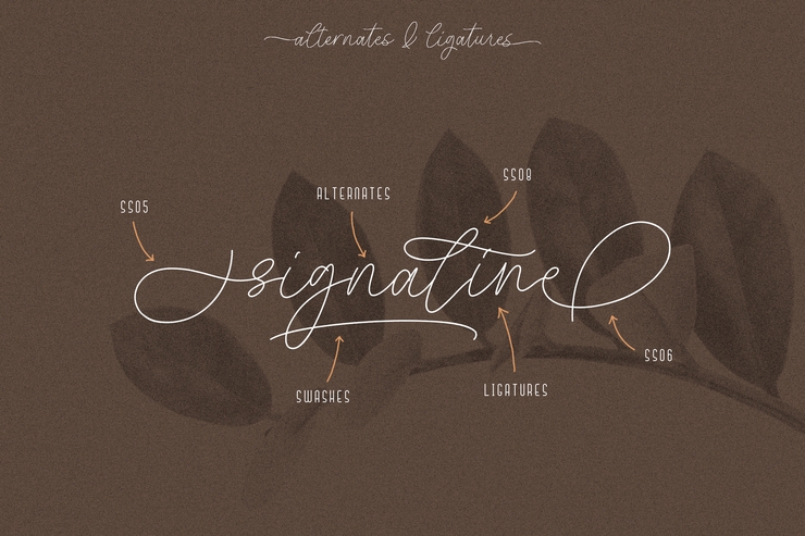 signaline script 10