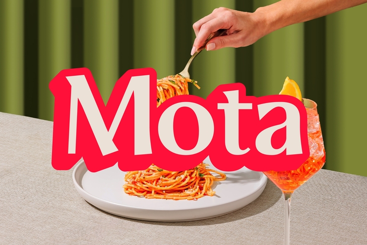 zt mota 1