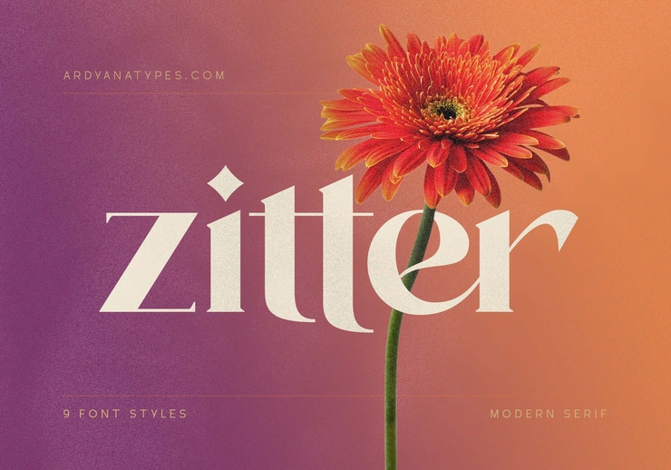 zitter 1