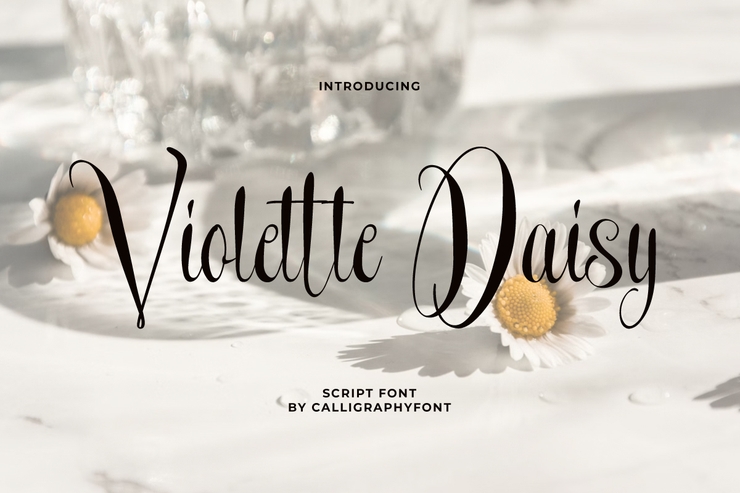 Violette daisy字体 1