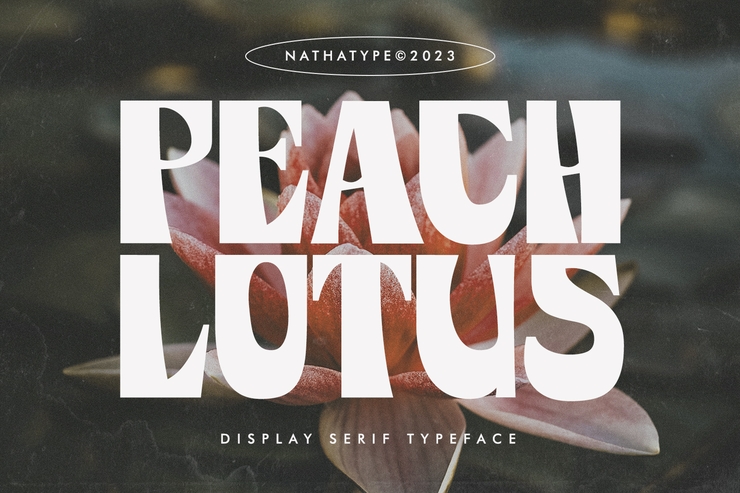 Peach lotus字体 1