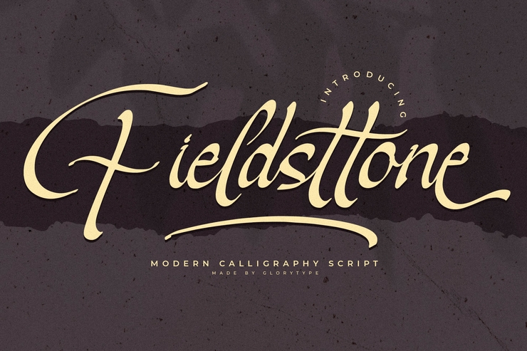 Fieldsttone字体 2