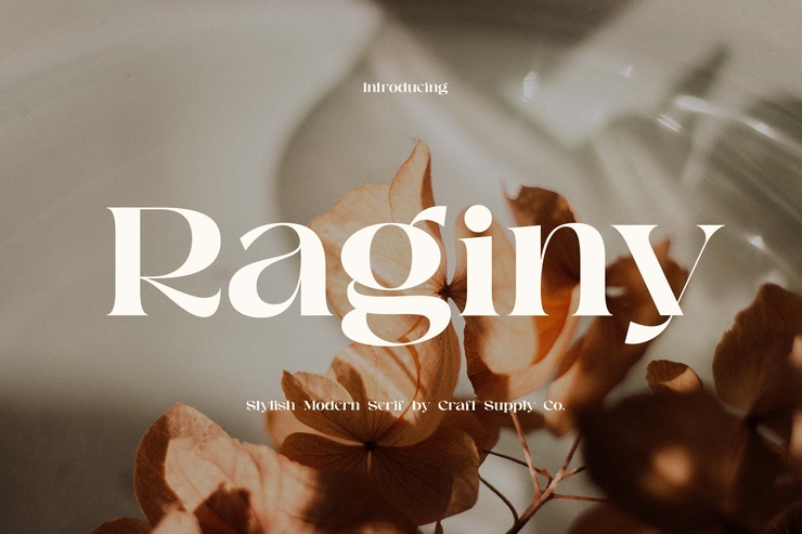 Raginy字体 1