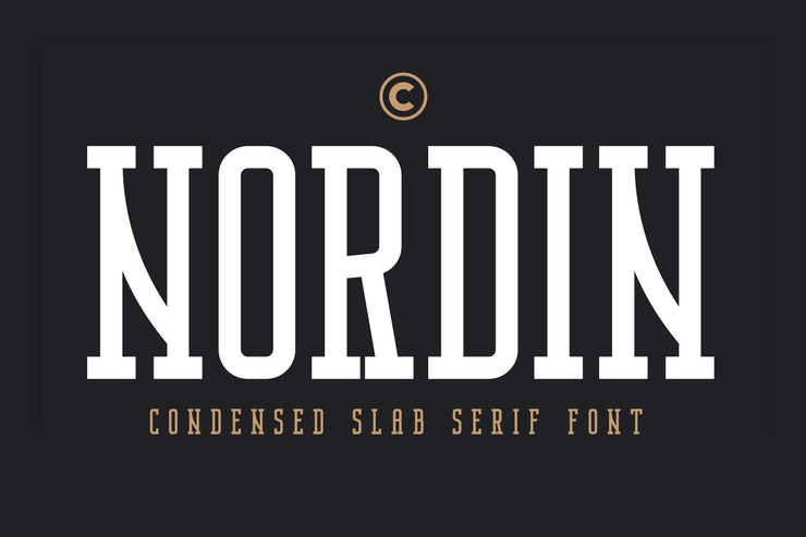 Nordin slab字体 1