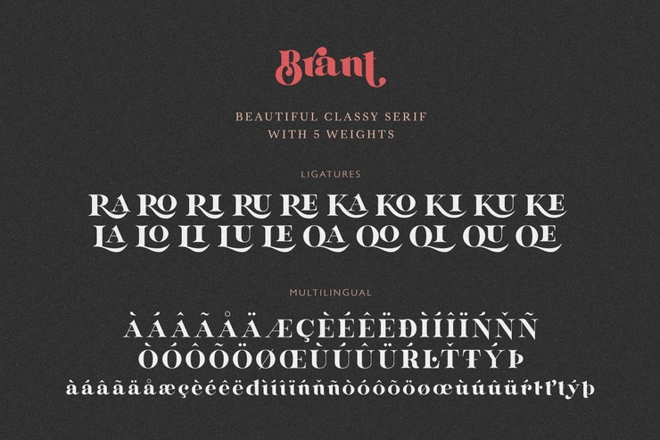 Brant serif字体 9