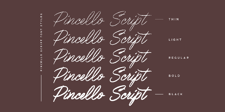 Pincello script字体 5