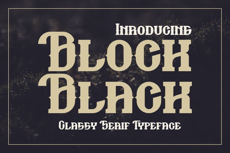 Block black字体 1